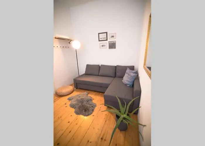 Cosy And Spacious In The Heart Of